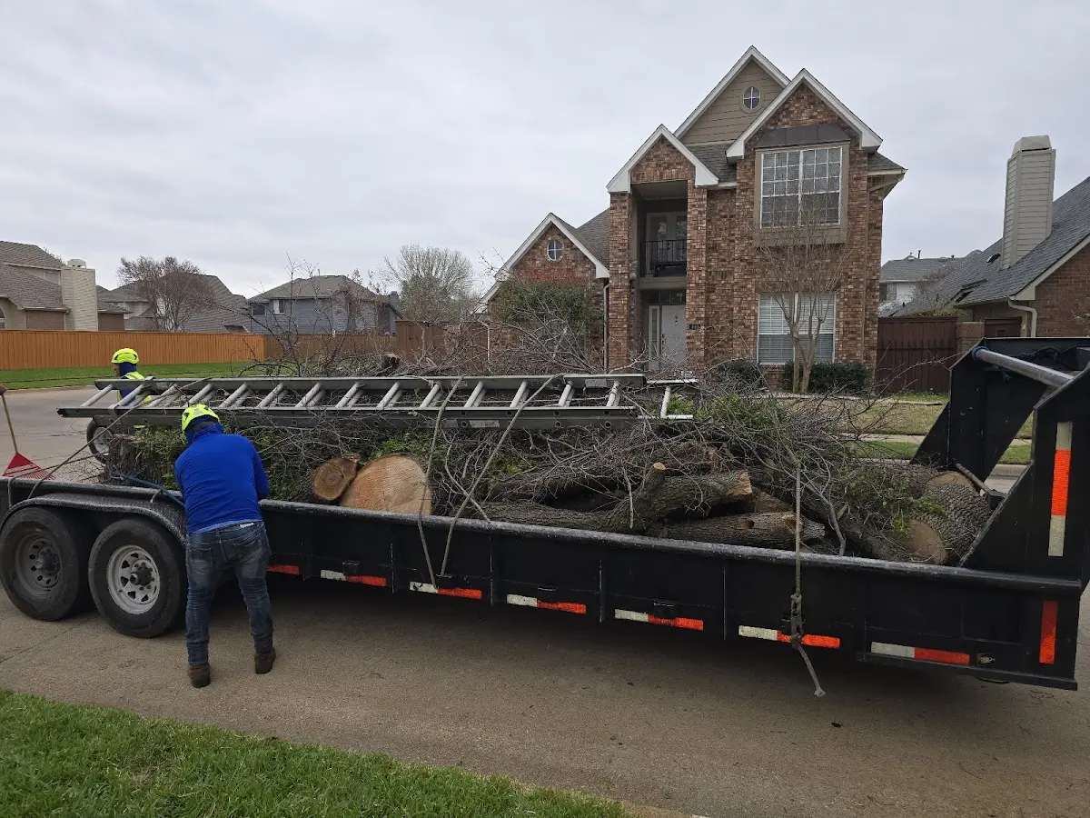 Expert Tree Fertilization with proper safety equipment in Atlasburg